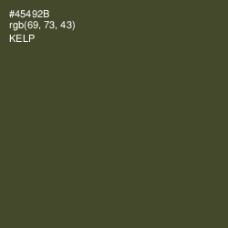 #45492B - Kelp Color Image