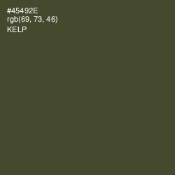 #45492E - Kelp Color Image