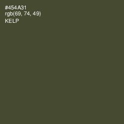 #454A31 - Kelp Color Image