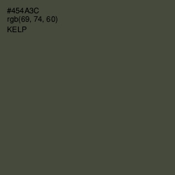 #454A3C - Kelp Color Image