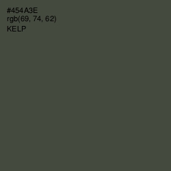 #454A3E - Kelp Color Image