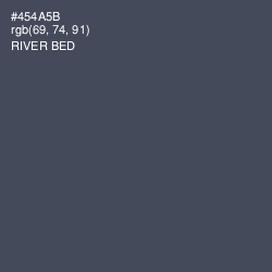 #454A5B - River Bed Color Image