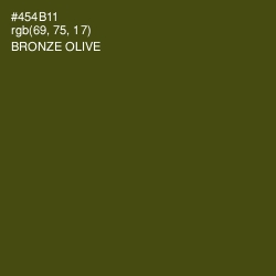 #454B11 - Bronze Olive Color Image