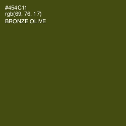 #454C11 - Bronze Olive Color Image