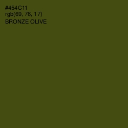 #454C11 - Bronze Olive Color Image