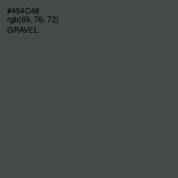 #454C48 - Gravel Color Image