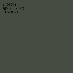 #454D43 - Tundora Color Image