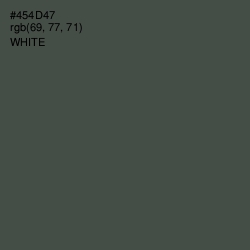#454D47 - Gravel Color Image