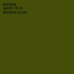 #454E08 - Bronze Olive Color Image