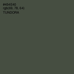 #454E40 - Tundora Color Image