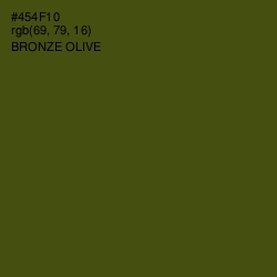 #454F10 - Bronze Olive Color Image