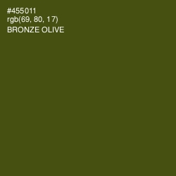 #455011 - Bronze Olive Color Image