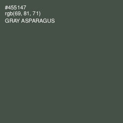 #455147 - Gray Asparagus Color Image