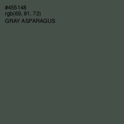 #455148 - Gray Asparagus Color Image