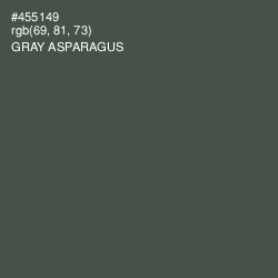 #455149 - Gray Asparagus Color Image