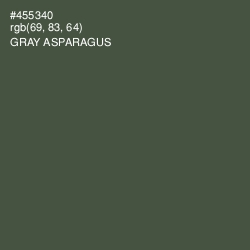 #455340 - Gray Asparagus Color Image