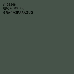 #455348 - Gray Asparagus Color Image