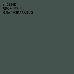 #45534E - Gray Asparagus Color Image