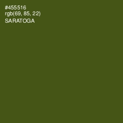 #455516 - Saratoga Color Image