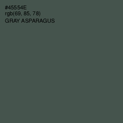 #45554E - Gray Asparagus Color Image