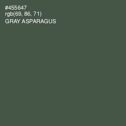 #455647 - Gray Asparagus Color Image