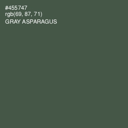 #455747 - Gray Asparagus Color Image