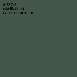 #455748 - Gray Asparagus Color Image