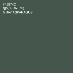 #45574C - Gray Asparagus Color Image