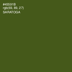#45591B - Saratoga Color Image