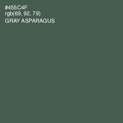 #455C4F - Gray Asparagus Color Image