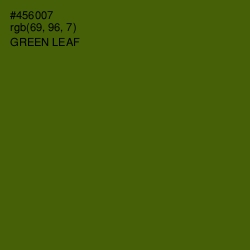 #456007 - Green Leaf Color Image