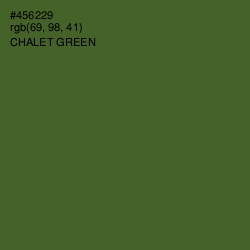 #456229 - Chalet Green Color Image