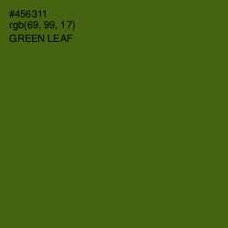 #456311 - Green Leaf Color Image