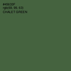 #45633F - Chalet Green Color Image