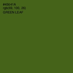 #45641A - Green Leaf Color Image