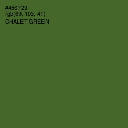 #456729 - Chalet Green Color Image