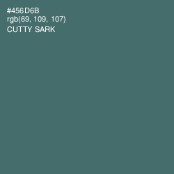 #456D6B - Cutty Sark Color Image