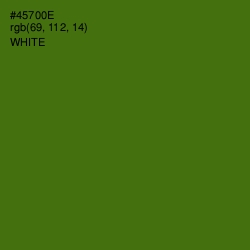 #45700E - Green Leaf Color Image