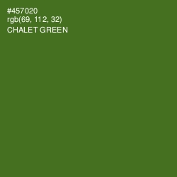 #457020 - Chalet Green Color Image