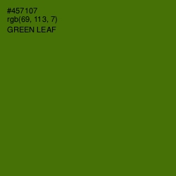 #457107 - Green Leaf Color Image