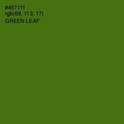 #457111 - Green Leaf Color Image