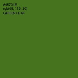 #45731E - Green Leaf Color Image