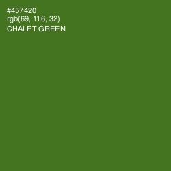 #457420 - Chalet Green Color Image