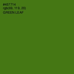 #457714 - Green Leaf Color Image