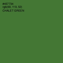 #457734 - Chalet Green Color Image