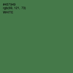 #457949 - Fern Green Color Image