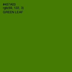 #457A03 - Green Leaf Color Image