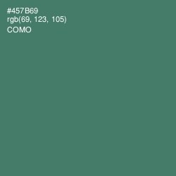 #457B69 - Como Color Image