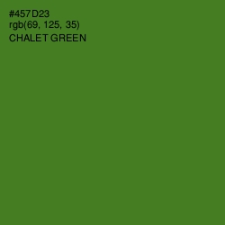 #457D23 - Chalet Green Color Image