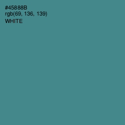 #45888B - Smalt Blue Color Image